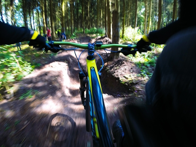In mountain bike nel bosco